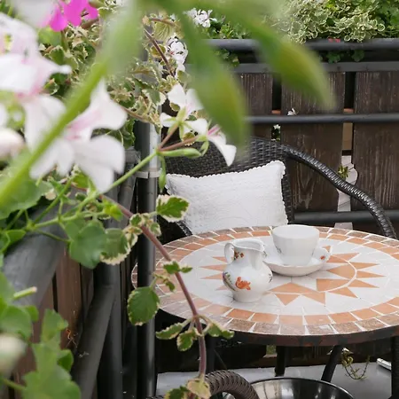 Hoell Friburgo de Brisgovia